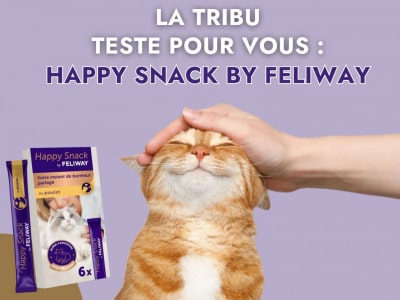 Happy Snack by feliway